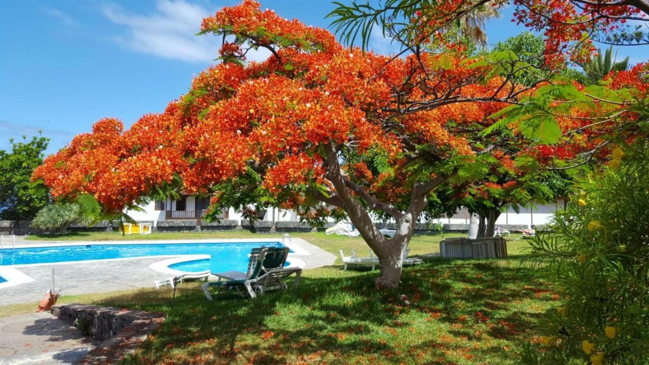 Apartamento Cerca De La Playa Appartement Acantilado de los Gigantes Buitenkant foto