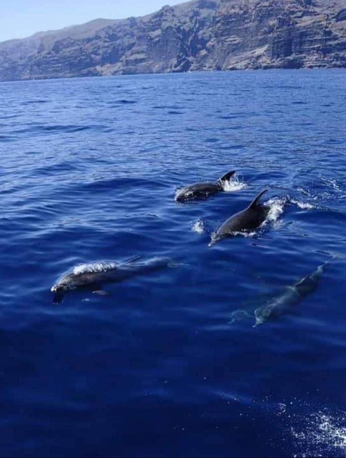 Apartamento Cerca De La Playa Appartement Acantilado de los Gigantes Buitenkant foto